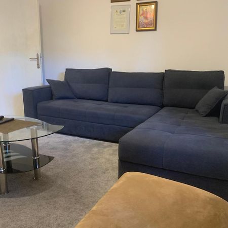 Mika'S Poolhouse Villa Beograd Eksteriør billede