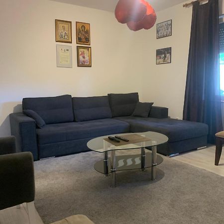 Mika'S Poolhouse Villa Beograd Eksteriør billede