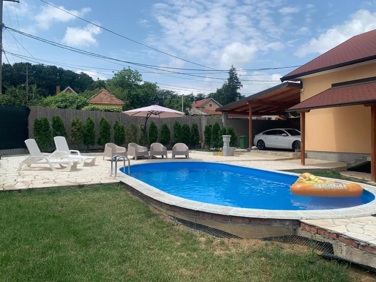 Mika'S Poolhouse Villa Beograd Eksteriør billede